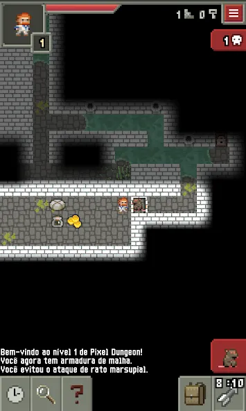 Pixel Dungeon ML (Пиксельное подземелье РУ)  [МОД Много монет] Screenshot 5