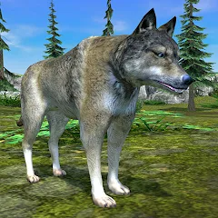 Взломанная Wolf Simulator - Animal Games  [МОД Все открыто] - последняя версия apk на Андроид