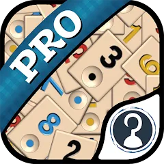 Скачать взлом Okey Pro (Окей Про)  [МОД Unlimited Money] - полная версия apk на Андроид