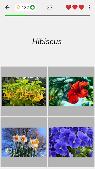 Flowers Quiz - Identify Plants  [МОД Unlocked] Screenshot 4