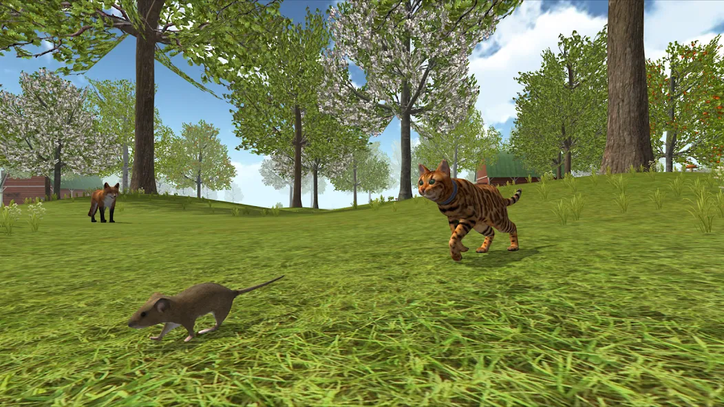 Cat Simulator : Kitties Family  [МОД Много денег] Screenshot 4