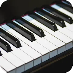 Скачать взломанную Real Piano (Реал Пиано)  [МОД Много денег] - стабильная версия apk на Андроид