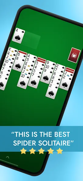 Spider Solitaire  [МОД Много монет] Screenshot 1