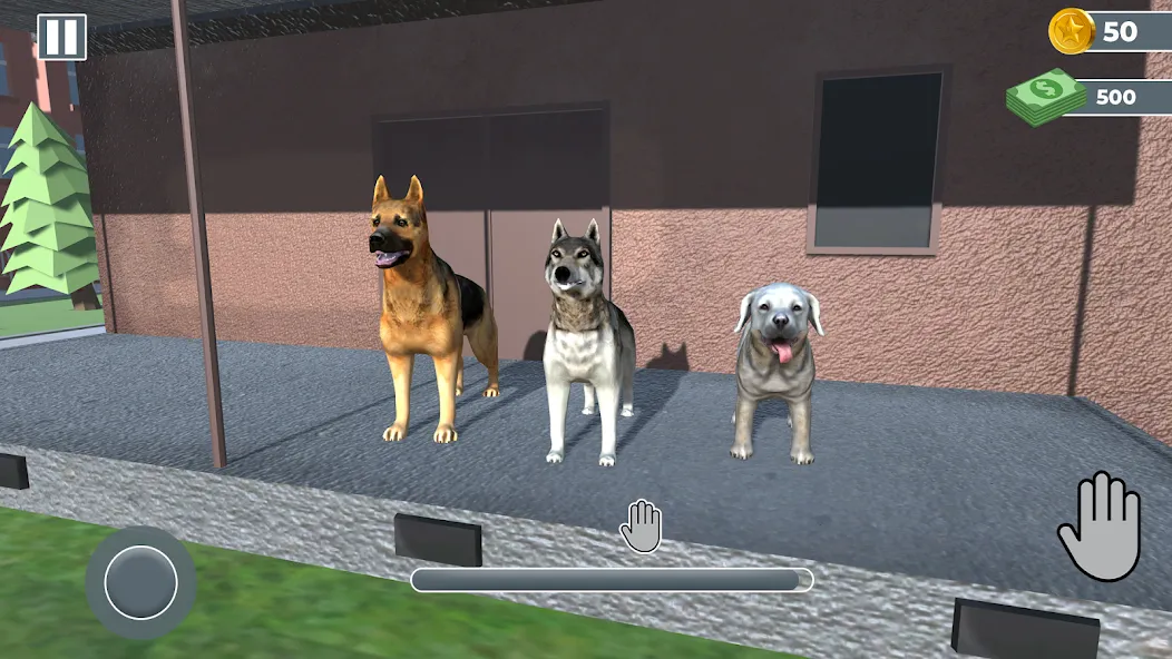 Animal Shelter: Pet Rescue 3D  [МОД Много денег] Screenshot 3