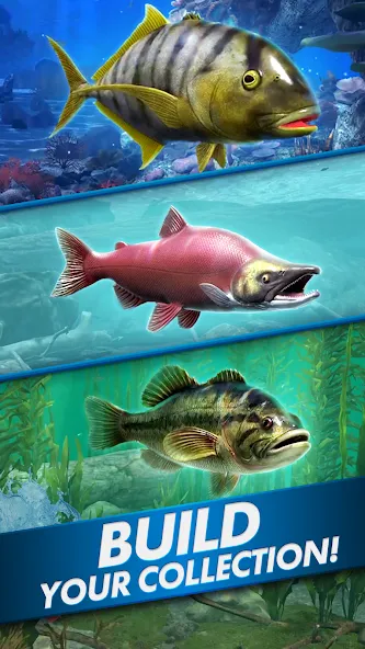 Ultimate Fishing! Fish Game  [МОД Меню] Screenshot 5