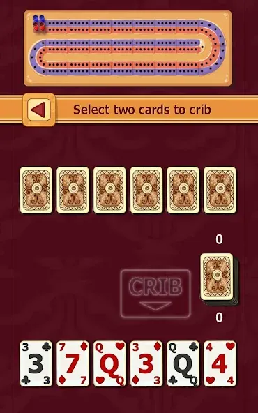 Cribbage (Криббидж)  [МОД Много монет] Screenshot 4