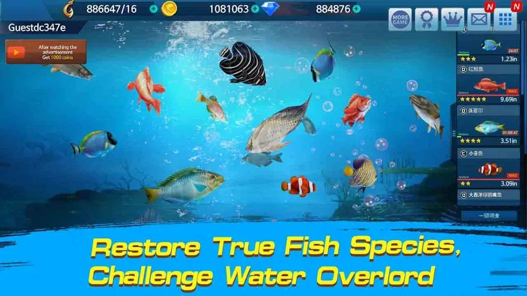 Fishing Championship  [МОД Mega Pack] Screenshot 2