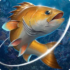 Скачать взломанную Fishing Hook  [МОД Unlimited Money] - полная версия apk на Андроид