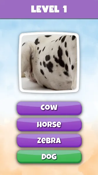 What is it? Pics Trivia Quiz  [МОД Unlimited Money] Screenshot 2