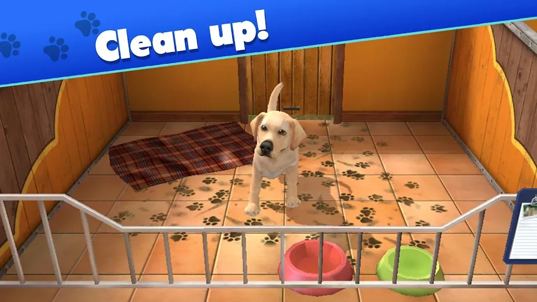 Pet World - My Animal Shelter (Пет Ворлд)  [МОД Много монет] Screenshot 1