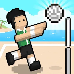 Взлом Volley Random (Воллей Рэндом)  [МОД Меню] - последняя версия apk на Андроид