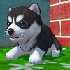 Скачать взломанную Cute Pocket Puppy 3D (Сьют Покет Паппи 3Д)  [МОД Unlimited Money] - полная версия apk на Андроид