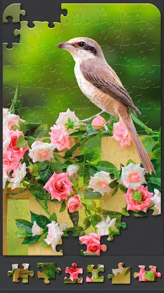 Jigsaw Puzzles for Adults  [МОД Много монет] Screenshot 3
