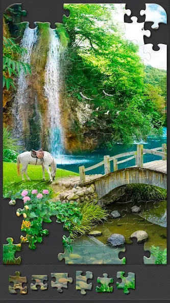Jigsaw Puzzles for Adults  [МОД Много монет] Screenshot 4