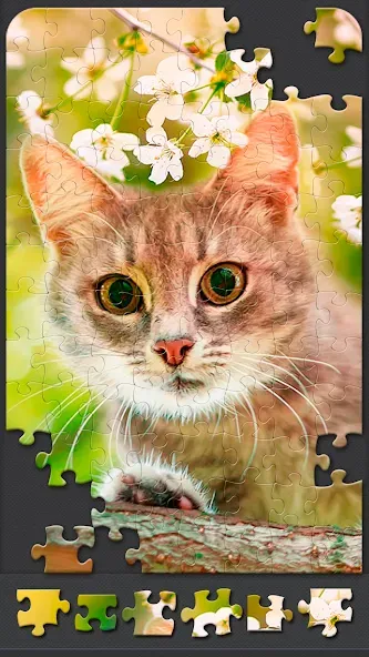 Jigsaw Puzzles for Adults  [МОД Много монет] Screenshot 5