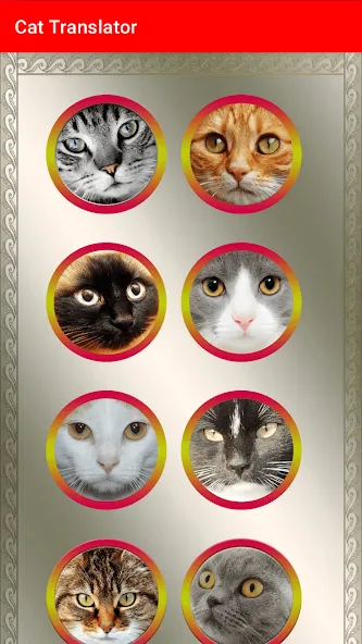 Translator for Cats Prank  [МОД Menu] Screenshot 3