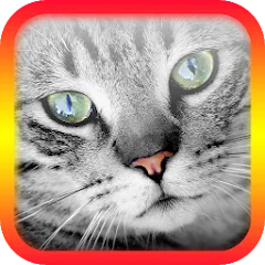 Взломанная Translator for Cats Prank  [МОД Menu] - полная версия apk на Андроид