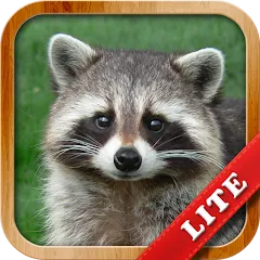 Скачать взлом Animals for Kids  [МОД Unlimited Money] - полная версия apk на Андроид