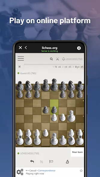 Chessnut (Честнат)  [МОД Бесконечные монеты] Screenshot 2