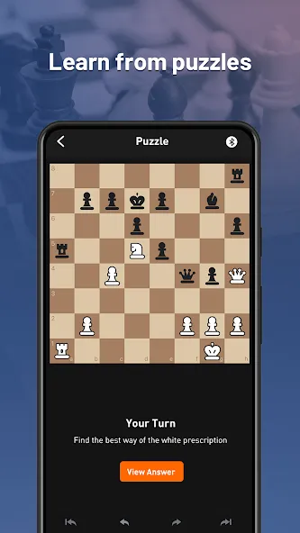 Chessnut (Честнат)  [МОД Бесконечные монеты] Screenshot 3